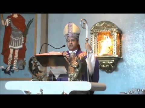 Homilia:VIVA O ADVENTO COM SERENIDADE-Dom José Francisco Falcão-29/11/2015-1º Domingo do Advento-DF-