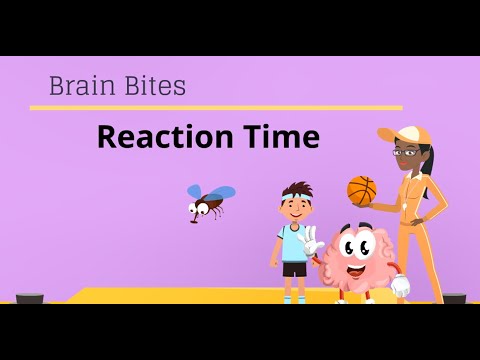 Brain Bites - Reaction time