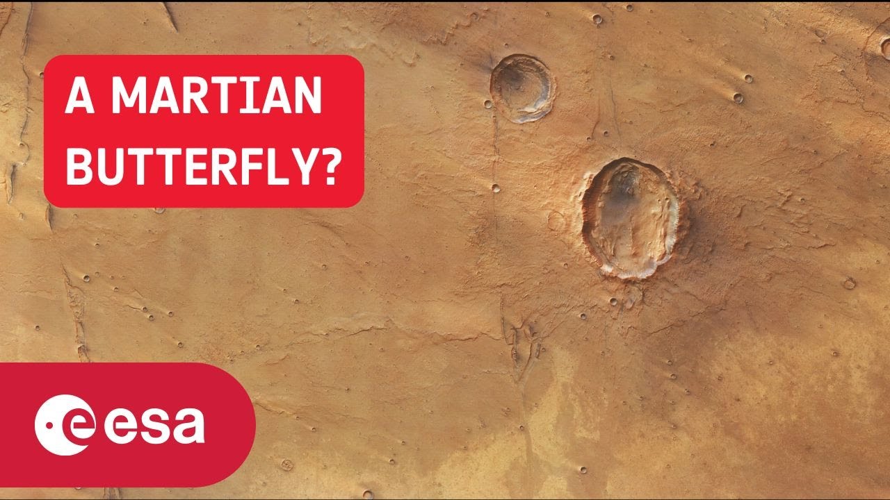 Circling a martian butterfly - YouTube