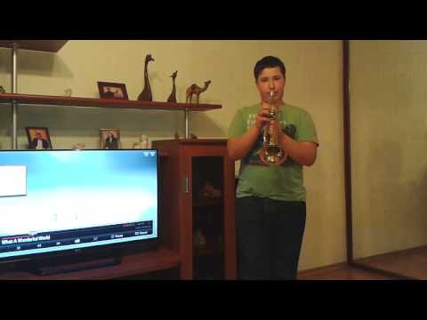 Гайсар труба  What A Wonderful World