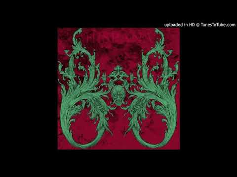 Hispana Mamba Negra - Amapola