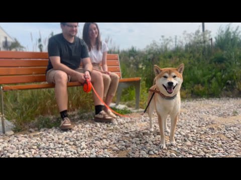 Marta & Marcin with Maru | Finding Trust and Care with Alvis