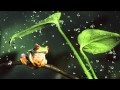 Let it rain - ALL Let it rain