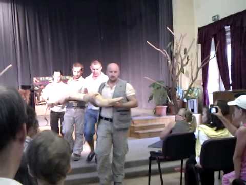 Hüllősó Taksony 2010