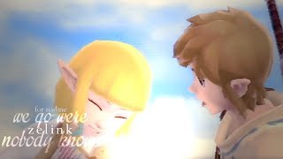 [ᴢᴇʟɪɴᴋ] ｗｅ ｇｏ ｗｈｅｒｅ ｎｏｂｏｄｙ ｋｎｏｗｓ