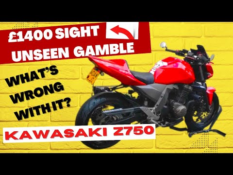 Is The 2004 Kawasaki Z750 The Perfect First Big Bike? Find Out In Our Review And Ride Along!