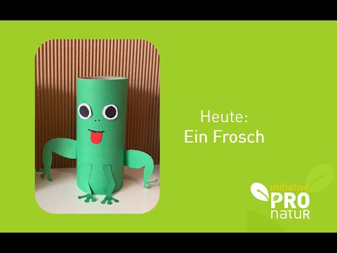 Basteln mit ProNatur: ein Frosch