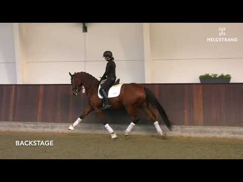 Backstage born 2016 by Borsalino/De Niro