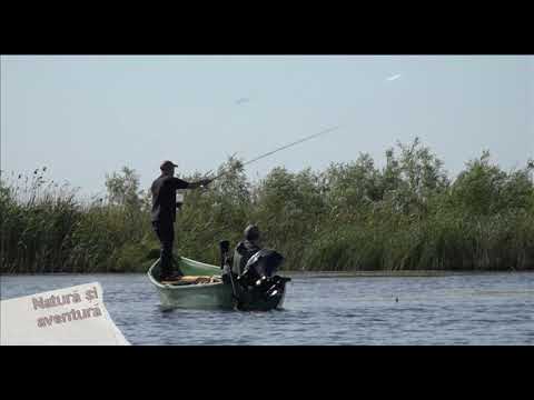 Natura si aventura: Pescuit in inima Deltei la Holbina, prima parte