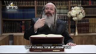 הרב שנייבלג פרשת יתרו   עברית