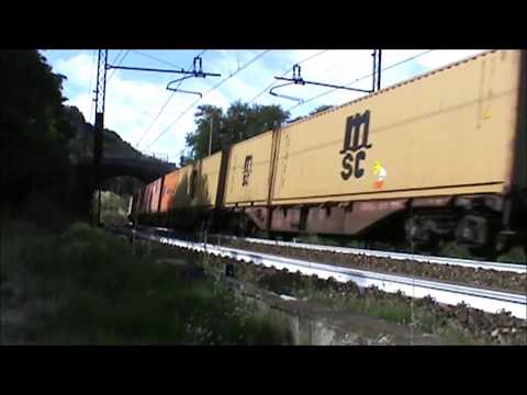 transito treni merci a  rigoroso il 15/7/2017