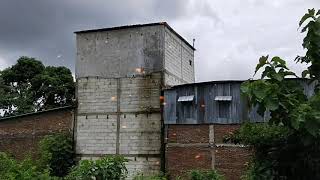 Download lagu Rumah Walet Biasa!! Tapi Hasilnya Luar Biasa mp3