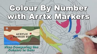 Comparing Arrtx Acrylic Marker Sets & My First Time Using Them in A Colour-By-Number Book