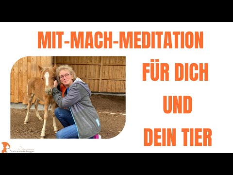 Tierkommunikation durch Meditation - Meditationsaudio - Aus der Ruhe heraus können Wunder geschehen