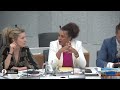 GL & D66 worden GEÏRRITEERD tegen Bosma: "Jullie leven in een ILLUSIE, het is ANTI-BLANK racisme!"
