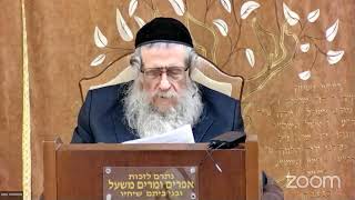 הרה"ג הרב וועכטר שליט"א י"ח שבט תשפ"ד - מאמר הרבי ד"ה ארבע ראשי שנים  תשל"א חלק ה (הרב אברהם מנחם מענדל וכטר) - התמונה מוצגת ישירות מתוך אתר האינטרנט יוטיוב. זכויות היוצרים בתמונה שייכות ליוצרה. קישור קרדיט למקור התוכן נמצא בתוך דף הסרטון