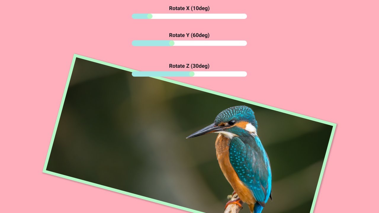 Animation with CSS Variables (How to Dynamically Change Values with CSS Variable)
