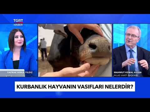 TGRT HABER'de İhlas Vakfı'nın Kurban Faaliyetlerini Anlattık!