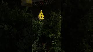 Os Melhores Sons de CHUVA estão AQUI !!! #shorts #chuvaparadormir #somdechuva