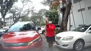Parking Lot Story - r/IdiotsInCars #27