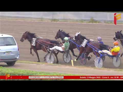 V Corsa del 13 Maggio 2023 - 5/6 Anni - Metri 2000