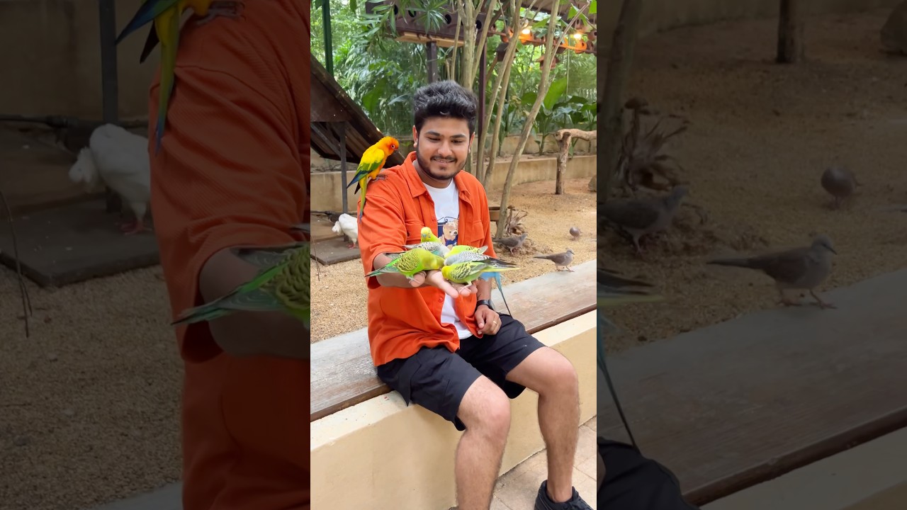 YouTube Short thumbnail