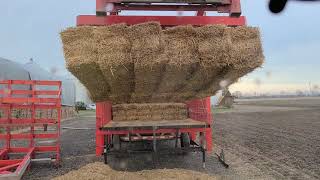 Loading a semi with small squares of straw with Steffens 18 bale grapple
