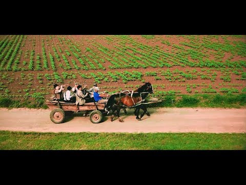 White Mahala - Șarpele de dudău