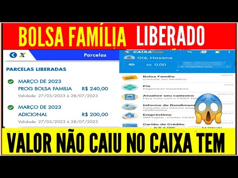 Vídeo: Bolsa Família: liberado mas não caiu no Caixa Tem