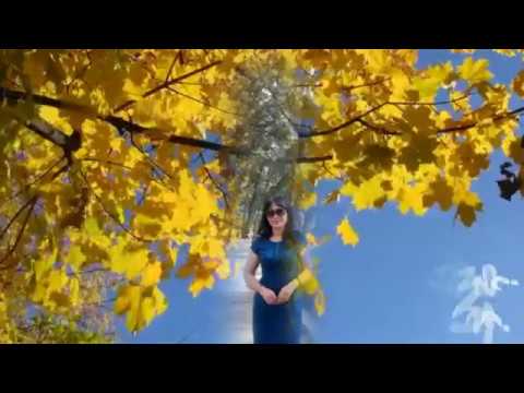 Mùa thu đi một nửa - Clara Ngo