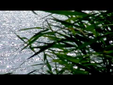 ПЯТИИЗБЯНКА