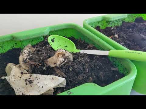 Hot Frog Living Composter Day 227 - Moving Worm Balls and Rearranging - Vermicomposting