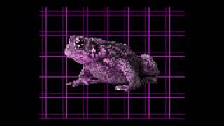 Cover art for Toad Buster