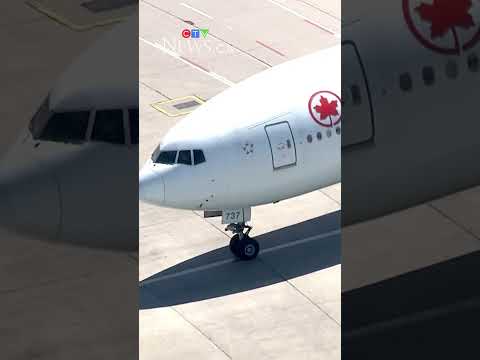 Air Canada says crew member was trapped in cargo hold