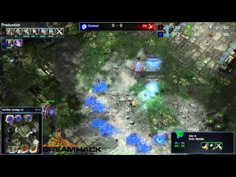 DH Summer 2013 - Goswser(Z) vs Elfi(P) G1
