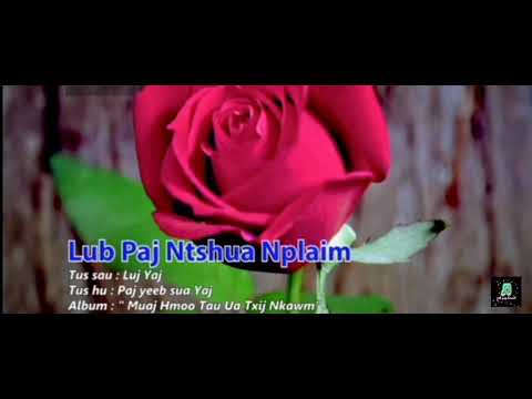 Lub Paj Ntshua Nplaim ม้งแปลไทย ดอกกุหลาบแดง