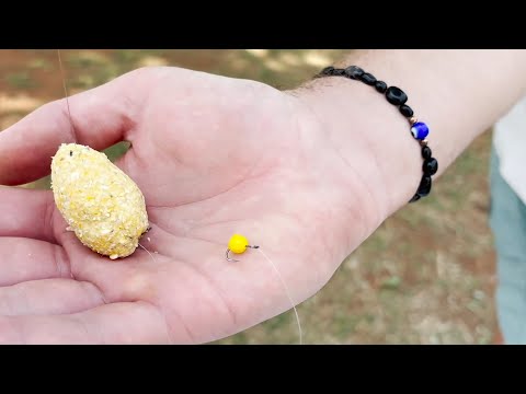 Fishing the smallest river in South Africa for big carp