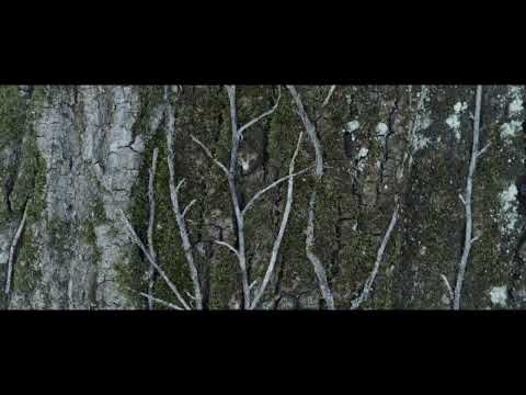 AGC Interpane - Soft and Challenging