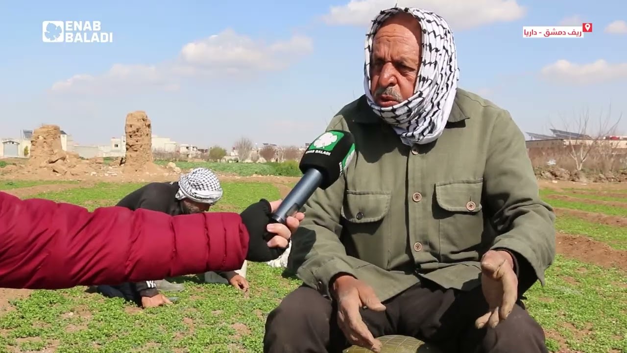 الزراعة في داريا.. بين ماض مثمر وحاضر متعب