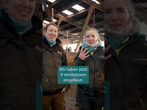 , title : 'Kuhstall Makeover Part3: Ventilatoren. #kühe #kuhkomfort #landwirtschaft #tiere #farming #landwirtin'