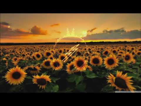 Avicii & Aloe Blacc - Wake Me Up (Hogland Edit)