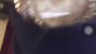 Pnb rock - all my diamonds goes crazy #catchthesevibes nov 17