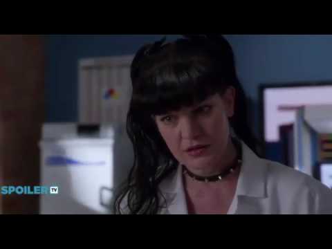 NCIS S14x19: The Wall  -  Sneak Peek 1