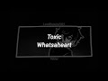 Whatsaheart Toxic Sub Español