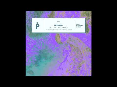 PREMIERE: Elfenberg - Ravers Association (Juan MacLean Remix) [Playground Records]