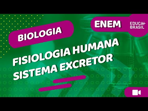 BIOLOGIA – Fisiologia Humana – Sistema Excretor ENEM