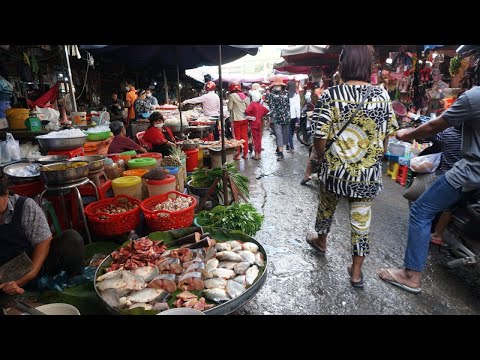 Ta Khmao Chass Street Market Show - Many Fresh Natural Vegetable, Fish, Snake, Bullfrog & Seafood