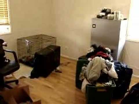 Our Apartment in California