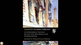 Little Busybodies; The Life of Crickets, Ants, Bees, Beetles, and Other Busybodies