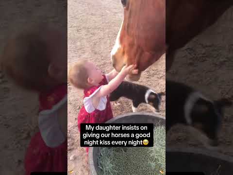 A paixão equina: Cavalos, os eternos companheiros de uma vida.